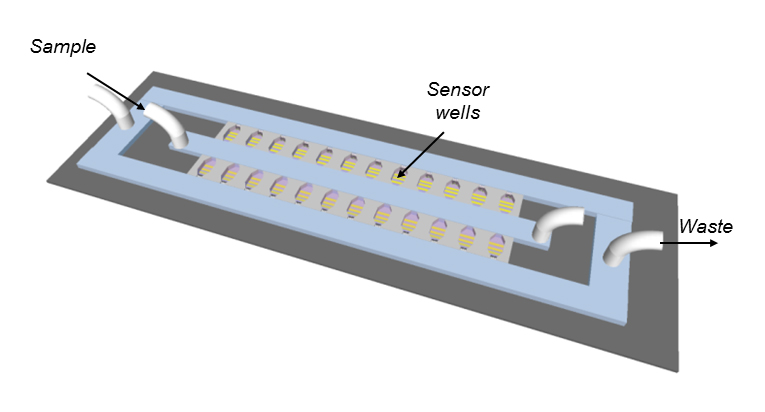 Schematic of the antibiotic susceptibility testing device. The bacteria are cultured in miniature chambers, each of which contains a filter for bacterial capture and electrodes for readout of bacterial metabolism (Image: University of Toronto).
