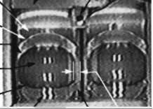 Results of the original 1997 experiment were inconclusive because of the low-resolution images. (credit: Charles Ward)