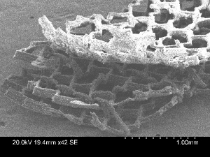 This photomicrograph shows three sheets of the scaffold on top of each other; the hook and loop mechanism can be seen in the middle layer. (Credit: Radisic Lab