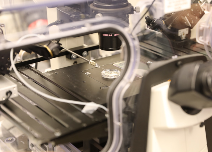 This computer-controlled robotic system can select an optimal sperm cell and inject it into an egg, enhancing the accuracy of IVF treatments. (Photo: Tyler Irving)