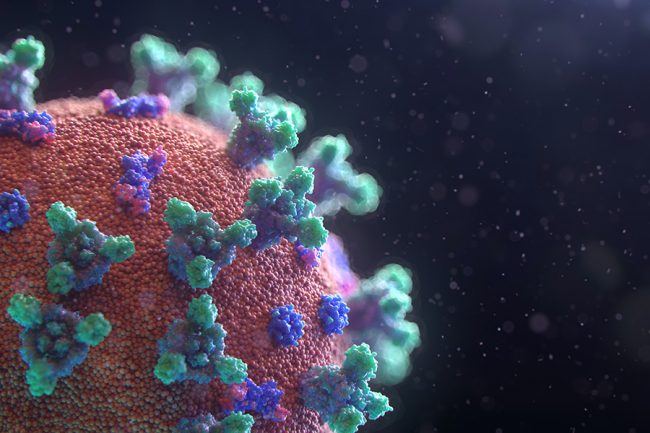 A new model, created by Professor Swetaprovo Chaudhuri (UTIAS) and his international collaborators, uses fundamental physics to predict the behaviour of the microscopic droplets that spread the COVID-19 virus. (Photo: Fusion Medical Animation via Unsplash)