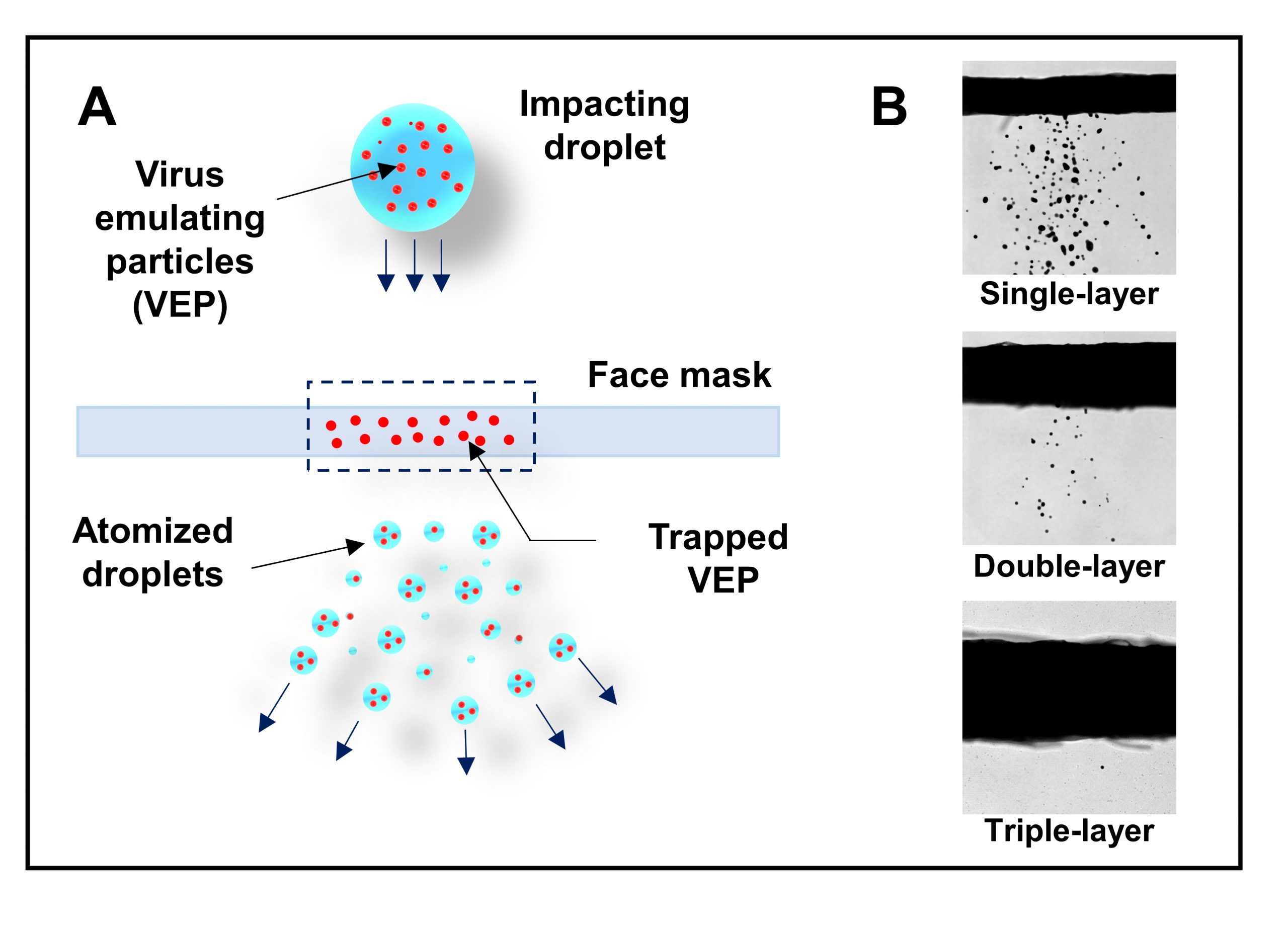 The diagram in A shows how larger, high-velocity liquid droplets can break up into smaller ones when they collide with mask material. The photographs in B demonstrate how double- and triple-layer masks prevent transmission of these secondary droplets. (Image: Shubham Sharma and Roven Pinto)