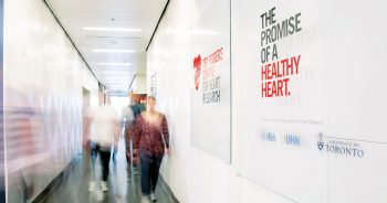 Image link to $90-million gift to the Ted Rogers Centre for Heart Research marks new era in cardiac health