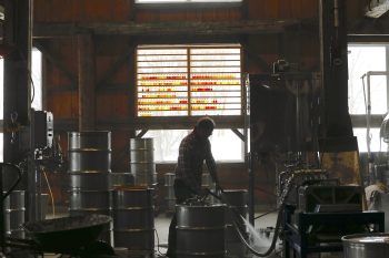An individual is using a hose to wash equipment inside a barn space. There are several metal barrels in the room and glass bottles with maple syrup on a shelf by the window.