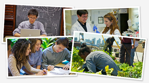 Our programs collage