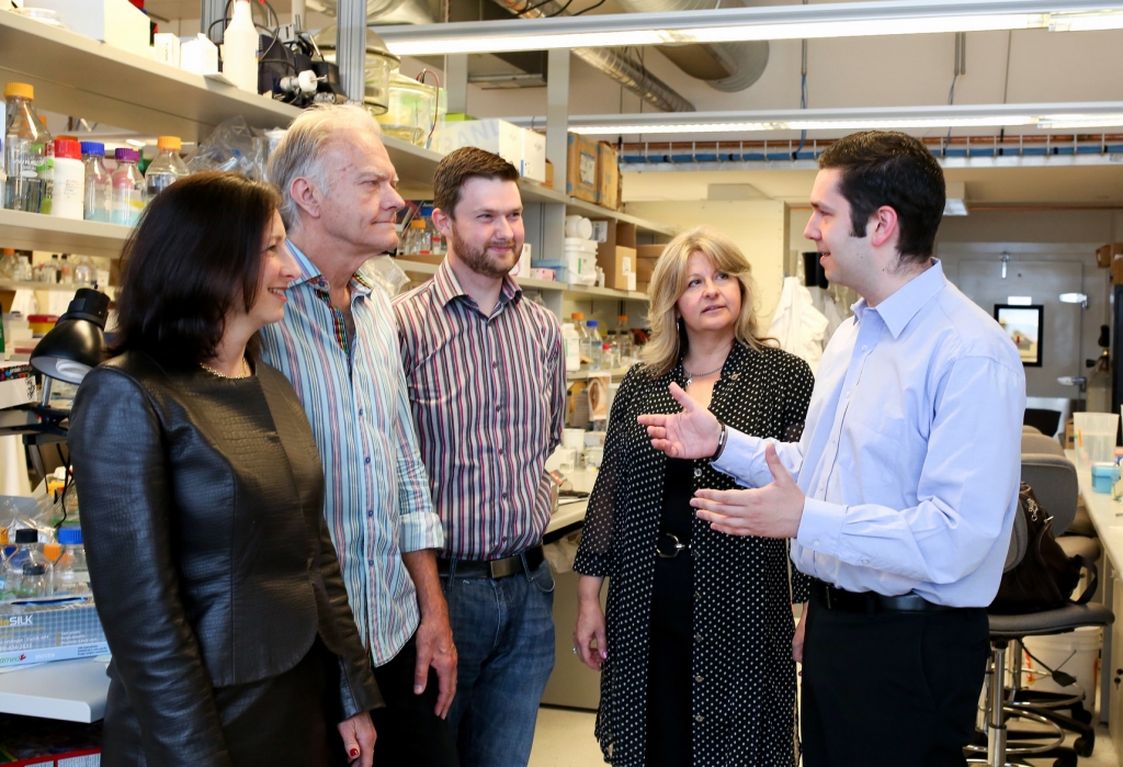 University of Toronto researchers (pictured) show that engineered 'hydrogels' not only help with stem cell transplantation, but actually speed healing in both the eye and brain