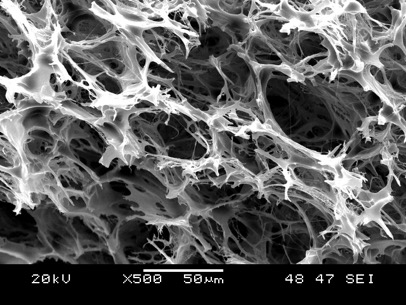 An image of the polymer foam taken with a scanning electron microscope. The large surface area is ideal for absorbing oil droplets from oil sands wastewater. (Image: Park et al., 2014)