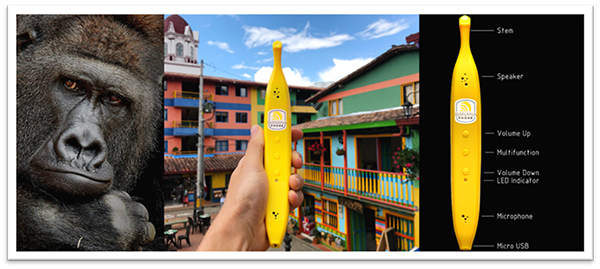 Katrycz is also part of the team that created the Banana Phone. (Photo courtesy Banana Phone)