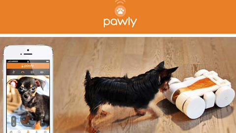 Pawly app