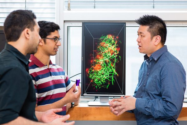 Professor Warren Chan (right) has been named a Distinguished Professor of Nanobioengineering. (Credit: Neil Ta)