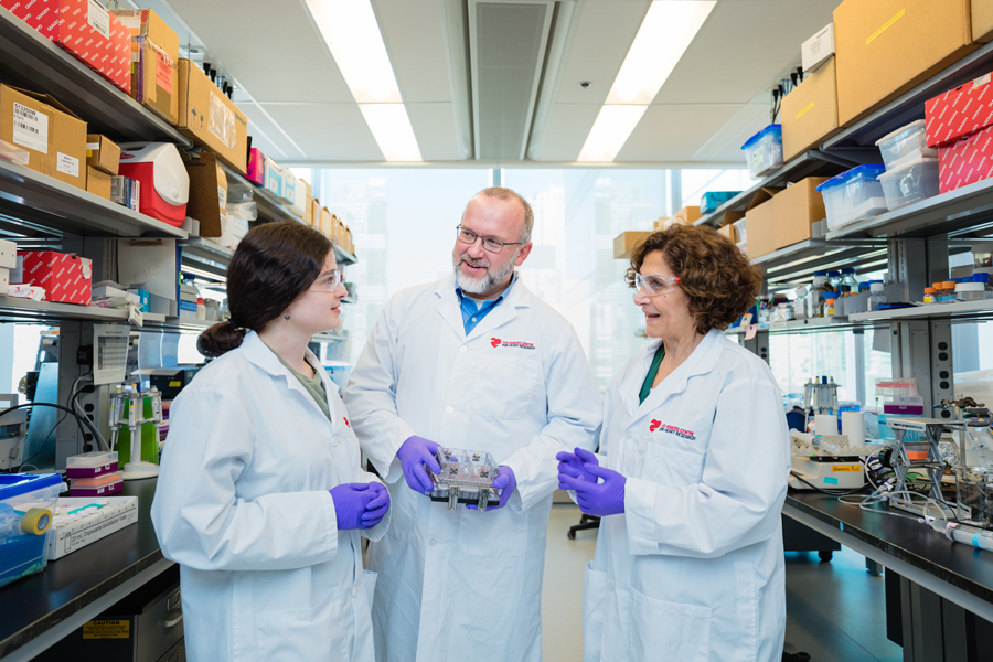 Professor Craig Simmons (MIE, IBBME) is among the four U of T Engineering professors and one alumnus to be inducted into the Engineering Institute of Canada for 2019. (Photo: Neil Ta)