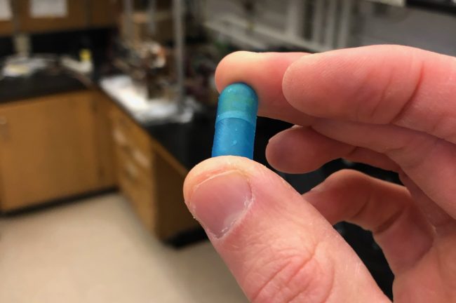 Professor Eric Diller (MIE) holds up a magnetic capsule that can be used to non-invasively sample the gut microbiome, thereby advancing research into a host of human health conditions. (Photo: Eric Diller)