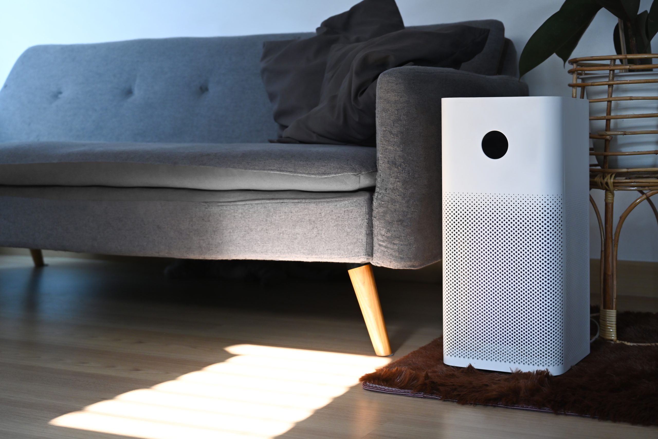 A couch is seen in a living room, next to it is an air purifier.