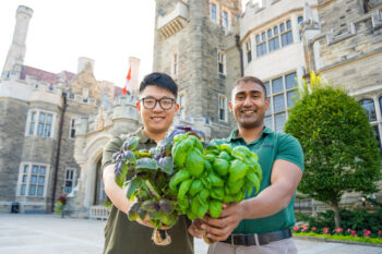 Image link to With new installations at Casa Loma and U of T Scarborough, Lyrata offers fresh solutions for sustainable urban farming