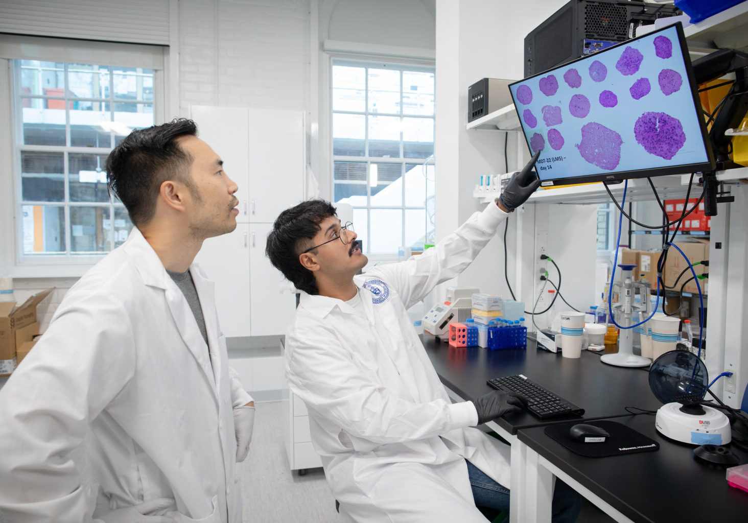 Professor Chou, left, looks at a screen with purple splotches displayed. A researcher sits at the table in the lab, pointing at one of the images on the screen.