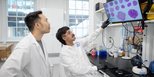 Professor Chou, left, looks at a screen with purple splotches displayed. A researcher sits at the table in the lab, pointing at one of the images on the screen.