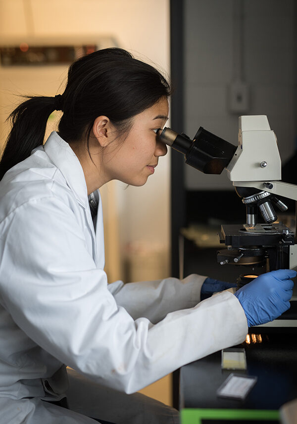 BioZone lab photos May 2017 (Sean Caffrey) 048_900x600 Samantha Cheung. Photo: Sean Caffrey.