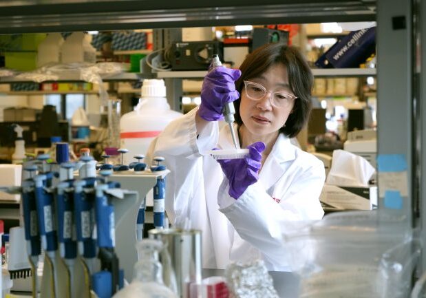 Cheng 1-highres Hai-Ling Cheng is wearing a lab coat and pipetting a solution into a dish. Cheng appears to be in a lab setting. Pipettes and boxes are visible.