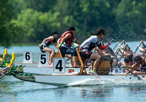 Two Iron Dragons crews, boats #4 and #6, race in the University Division finals at a regatta on Toronto Island in June 2018. Boat #4 placed first, and boat #6 placed third. This summer the national champions are flying to Szeged, Hungary to compete at the dragon boating world championships. (Credit: Laura Pedersen)